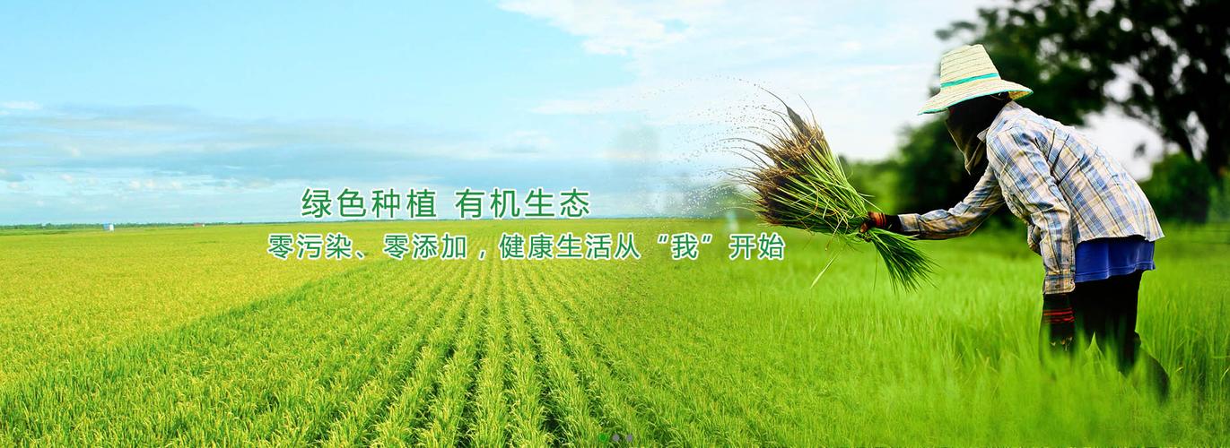 红锦米业